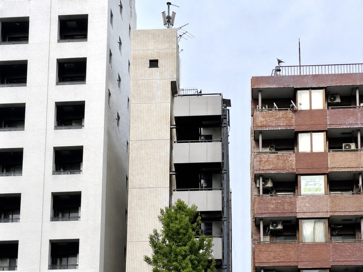 IMG_8997
